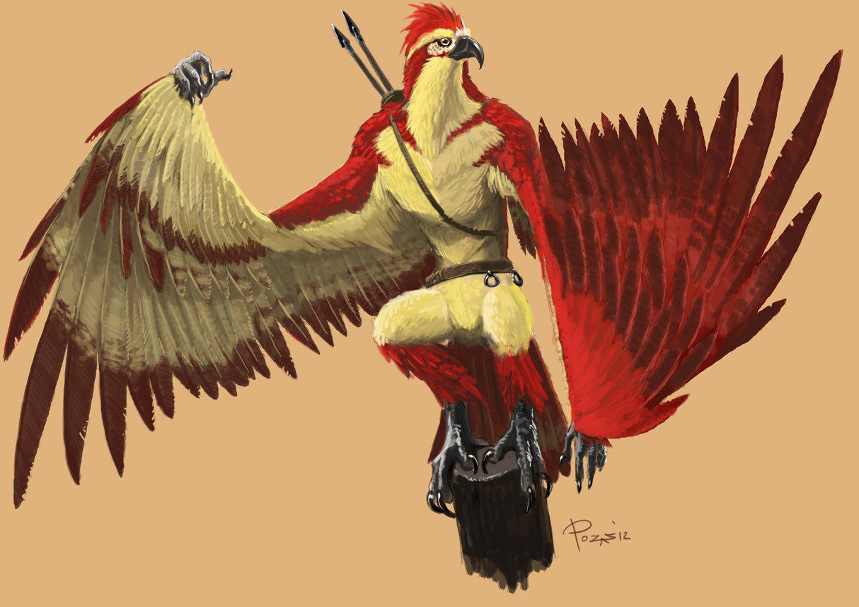 D&D Races Aarakocra