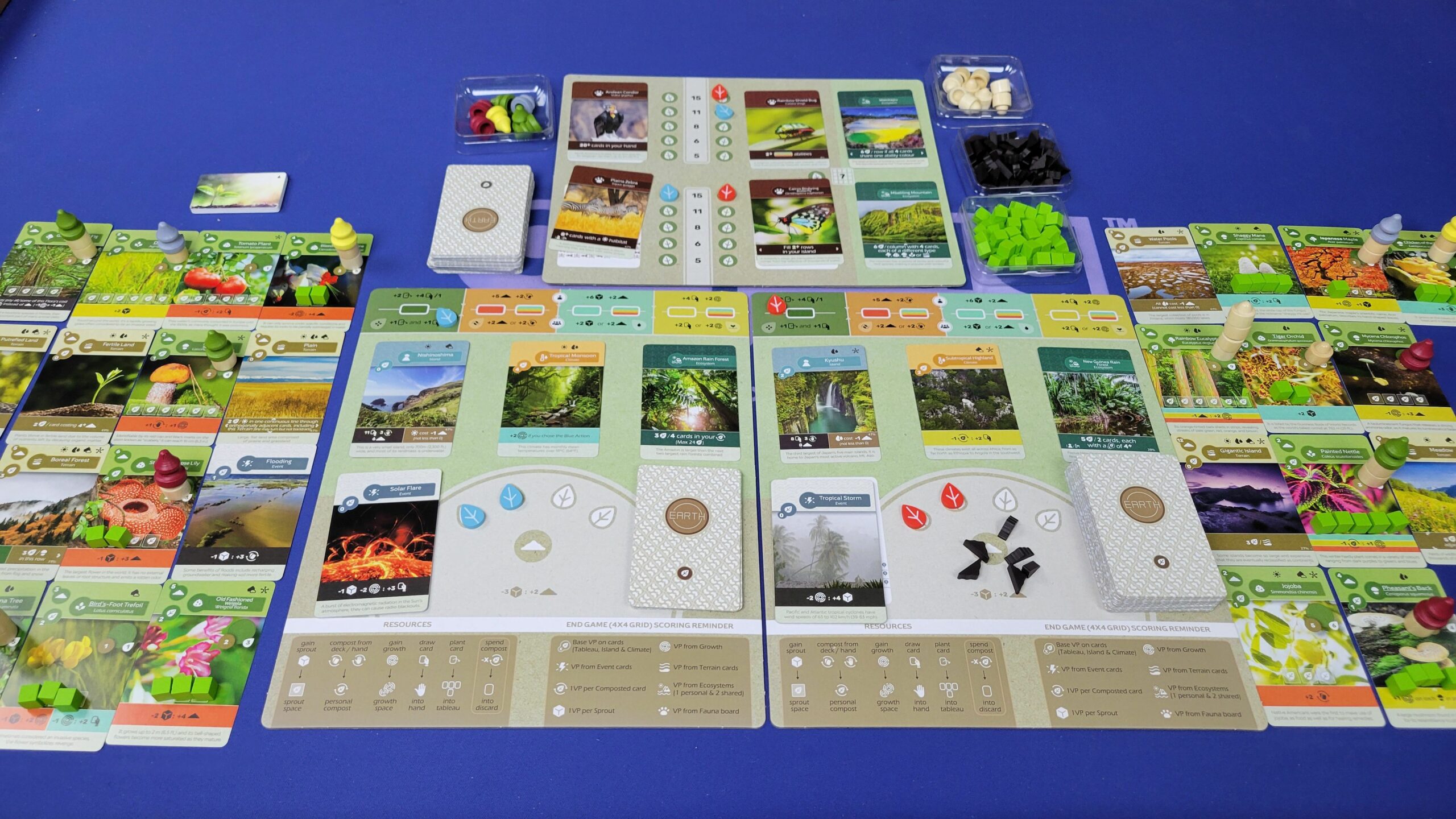 Earth board game gameplay