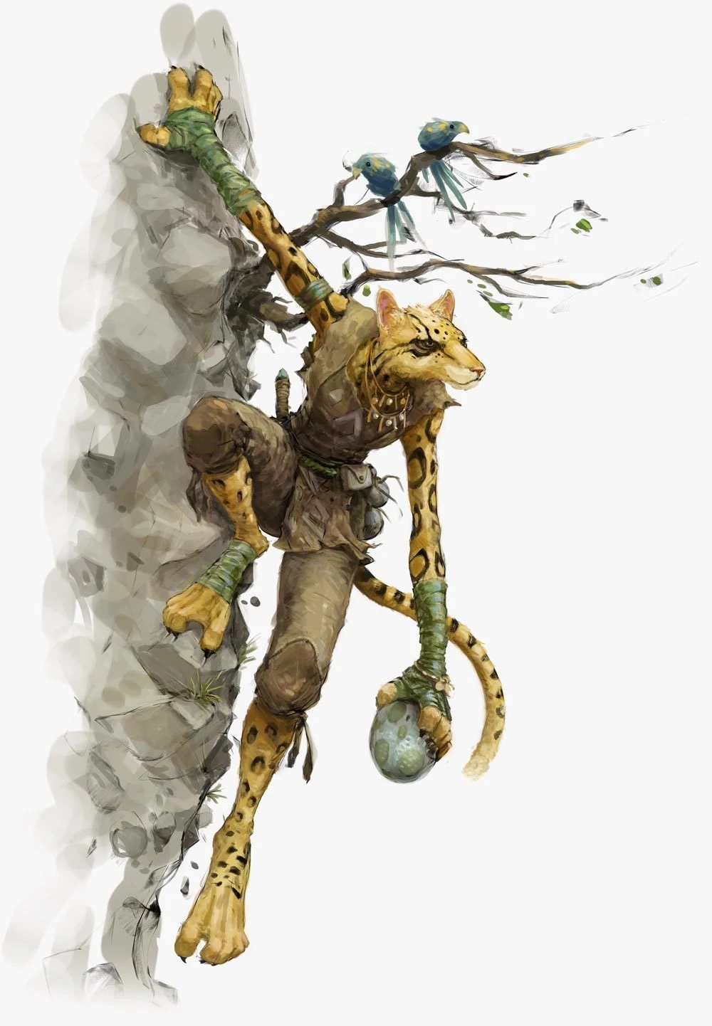 D&D races tabaxi